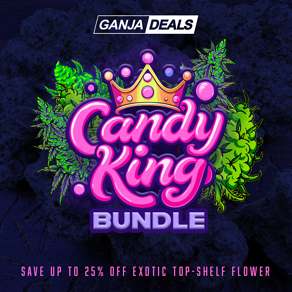 candy king bundle